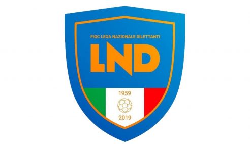Verdetti Serie D 2021-22: Promozioni, Retrocessioni e Griglie Playoff a fine regular season